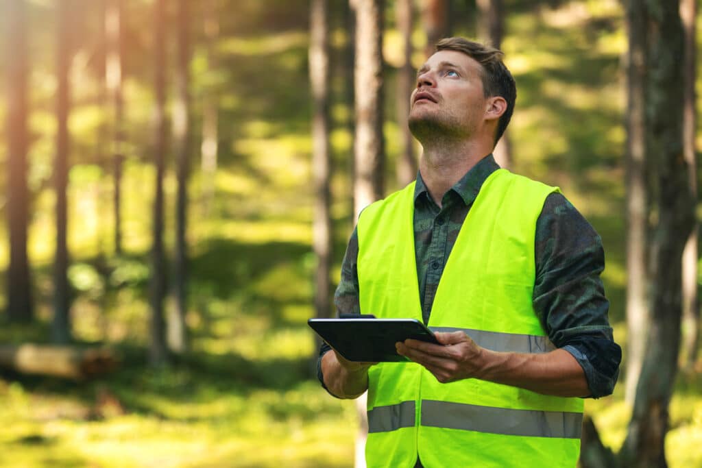 forest evaluation and management - forestry engineer working with digital tablet in the woods