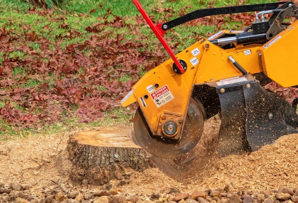 Grinding A Tree Trunk