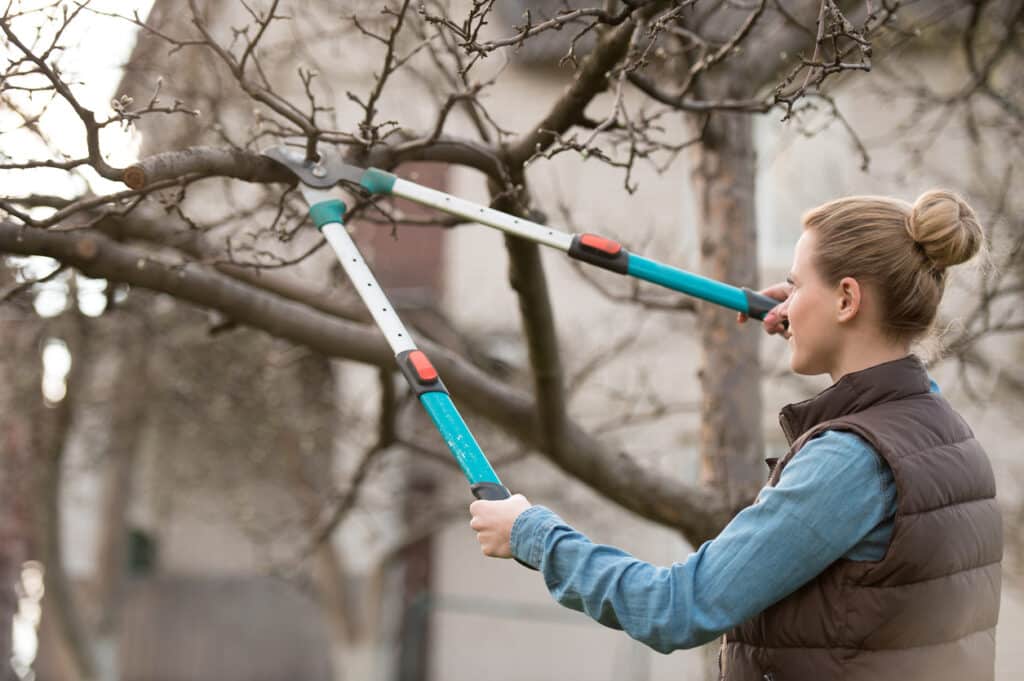 woman cutting tree branch