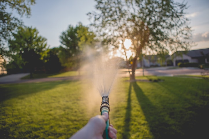 hose sprays a green yard